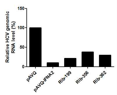 HCV inhibition by JAS-Rib-199, 356 and 362-IFNA2
