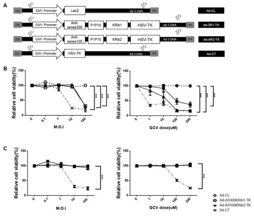 Generation of Ad-ribozymes and selective expression of therapeutic transgene by Kras G12V-targeted Ad-ribozymes.