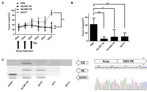 Selective and effective inhibition of tumor growth by specific Ad-ribozymes in vivo