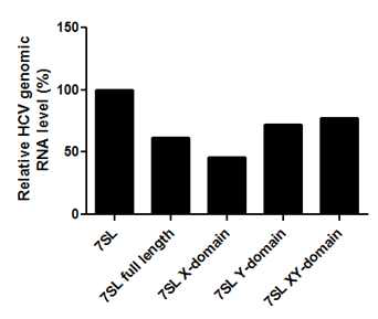 Inhibition of HCV genotype 2a JFH-1 replication by NS5B RNA aptamer