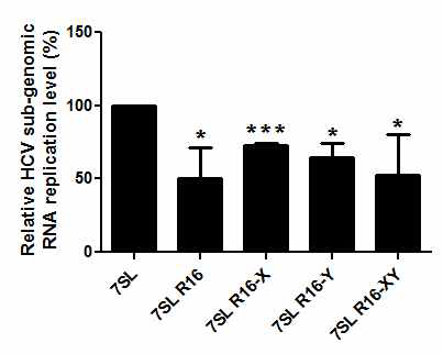Inhibition of HCV genotype 1b HCV-replicon replication by pc7SL-NS5B RNA aptamer