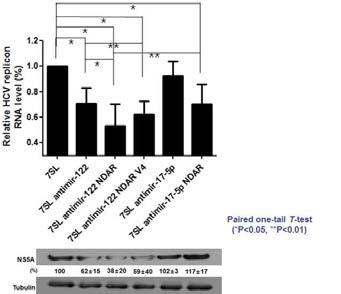 Efficient inhibition of HCV replication by NS5B aptamer-controlled ribozyme