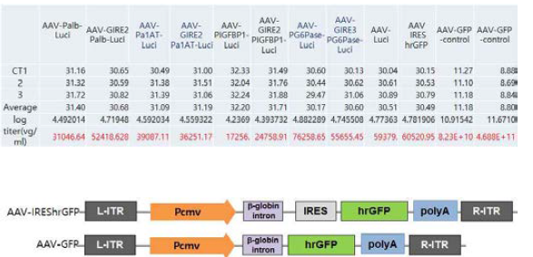 AAV virus production and titration by qPCR