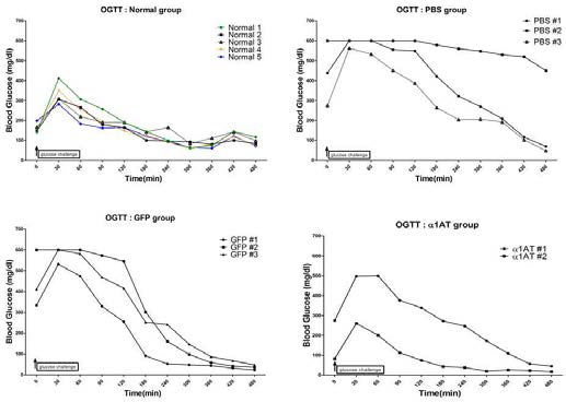 OGTT assay of the injected Lentivirus- STZ-induced mice.