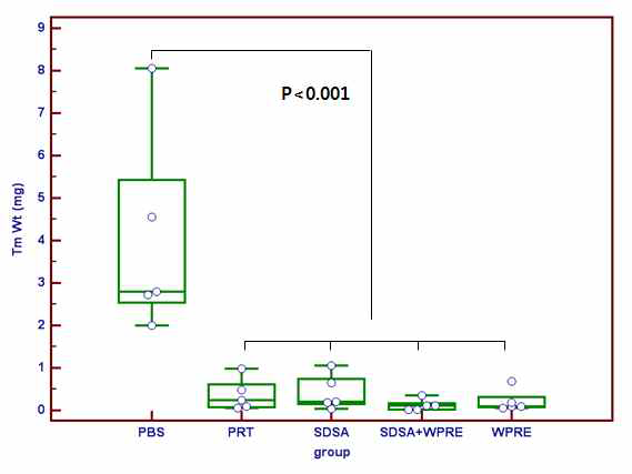 Anti-tumor effect by adenoviral vector encoding modified ribozyme