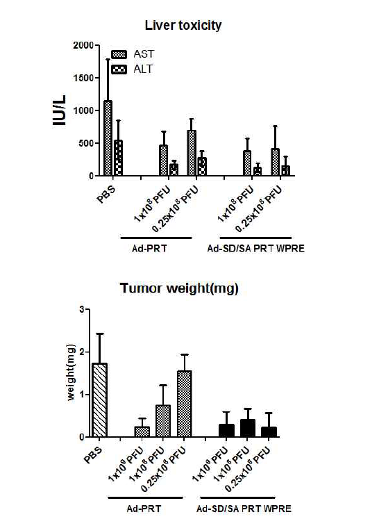 Comparison of liver toxicity & anti-tumor effect b/w adenoviral vector encoding unmodified and modified ribozyme