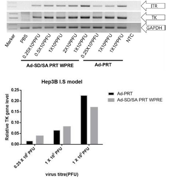 Virus infection level by various virus titer