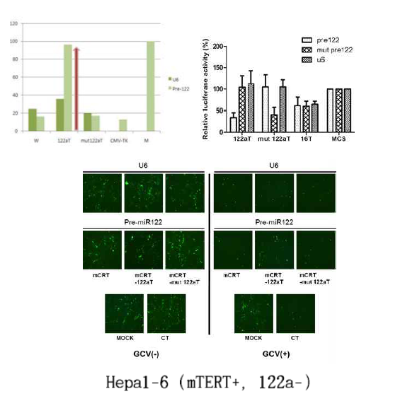 Suicide assay with T/S ribozyme with miR-122aT