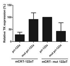 Transgene analysis with T/S ribozyme with miR-122aT