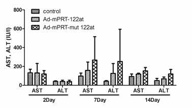 Toxicity assay in normal mice with PEPCK-mTERT targeting T/S ribozyme with miR-122aT