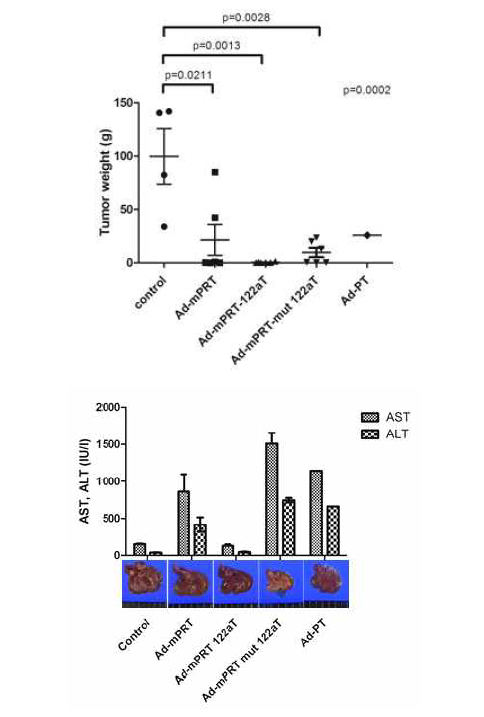 Anti-cancer effect & toxicity in syngeneic mice with liver cancer by adenovirus encoding mTERT-targeting T/S ribozyme with miR-122aT