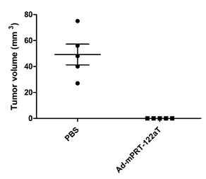 Tumor volumes of subcutaneous HCC mass