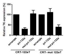 Transgene analysis with T/S ribozyme with miR-122aT