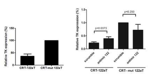 Transgene analysis with T/S ribozyme with miR-122aT