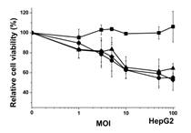 hTERT+, miR-122a- liver cancer cell death by adenoviral vector encoding CMV-T/S ribozyme with miR-12aT