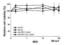 No cell death in hTERT-, miR-122acells by adenoviral vector encoding PEPCK-T/S ribozyme with miR-12aT