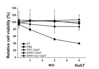 hTERT+, miR-122a+ liver cancer cell death by adenoviral vector encoding enhanced PEPCK-T/S ribozyme with miR-122aT