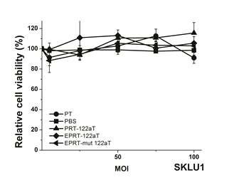 hTERT-, miR-122a- liver cancer cell death by adenoviral vector encoding enhanced PEPCK-T/S ribozyme with miR-122