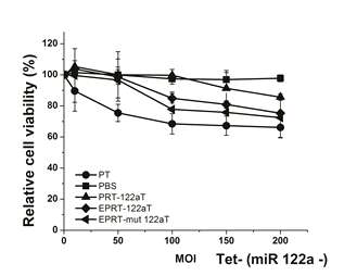 stable cell(tet-, miR-122a-) death by adenoviral vector encoding enhanced PEPCK-T/S ribozyme with miR-122aT