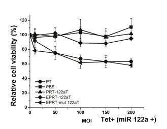 stable cell(tet+, miR-122a+) death by adenoviral vector encoding enhanced PEPCK-T/S ribozyme with miR-122aT