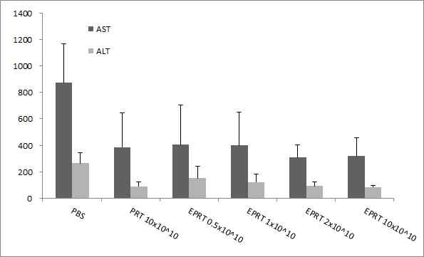 ALT, AST in xenograft mouse infected adenovirus.