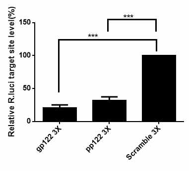 Inhibition of R. luciferase mRNA with miR-122 target site was observed by relative quantification real time RT-PCR