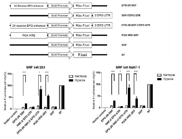 Construction of trans-splicing ribozyme with hypoxia-enhancer elements