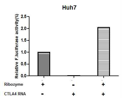 Reporter assay by specific T/S ribozyme