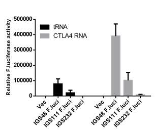 The comparison of activity of target-specific ribozymes using separate IGS