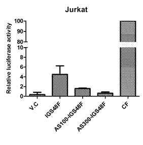 Identification of ribozyme efficacy in Jurkat cell line