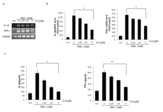 Effects of 6-O on the mRNA levels of IL-1β and TNF-α and protein secretion in THP-1 cells.