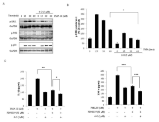Effects of 6-O on the phosphorylation of JNK1/3, ERK1/2, and p38 MAPK in PMA- treated THP-1cells.