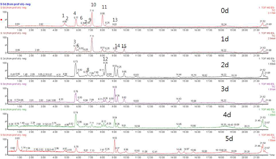 배양기간별 배당대사체 UPLC-Q-TOF 분석.