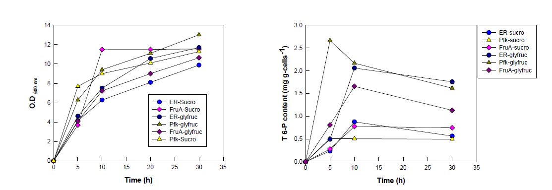 Bioconversion of tagatose 6-phosphate from various carbon sources in recombinant cells.