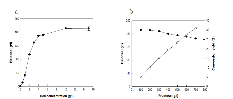 D-fructose(◯)에서 D-psicose(●) 로의 전환 시 최적 세포 농도 및 기질 농도 결과.