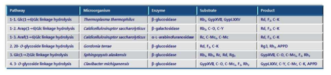 PPD-type ginsenoside의 당분해 경로에 작용하는 각각의 효소