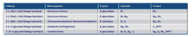 PPT-type ginsenoside의 당분해 경로에 작용하는 각각의 효소