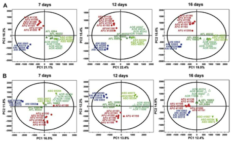 다른 종의 Aspergillus균주의 LC/MS분석을 통한 PCA score plot. MEA (A), CYA (B) 배지에서 진행.