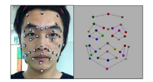 3차원 동작분석기를 이용을 위한 안면 마커셋 및 데이터 획득