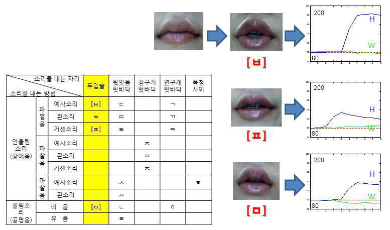 두입술을 사용하는 자음에 대한 패턴변화.