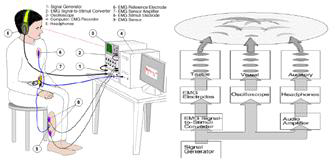 Multi-sensory integration 연구