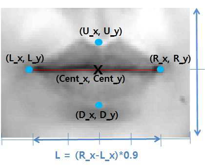 입술영상 정합을 위한 입술영역 취득방법