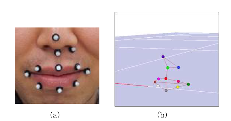 (a) 반사마커가 부착된 예시 영상, (b) 모션 캡쳐 카메라에 서 획득된 마커의 3차원 공간상에서 위치