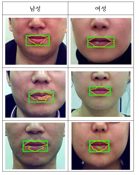 제안 방법의 성별에 따른 입술영역 및 윤곽선 검출 결과