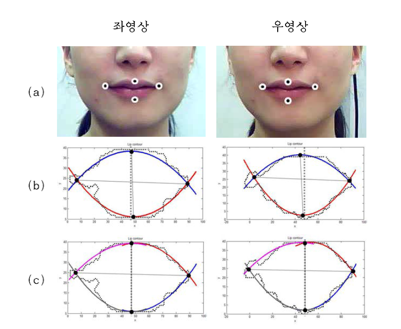 좌, 우 영상에서 입술 특징점 추출 결과