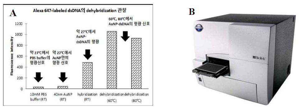 골드나노입자의 국부적인 온도 상승을 이용한 quenching 현상의 제거(A) 및 사용된 형광측정기(B).