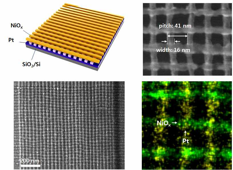 금속/비금속 (Pt/NiOx) 하이브리드 크로스 바 패턴