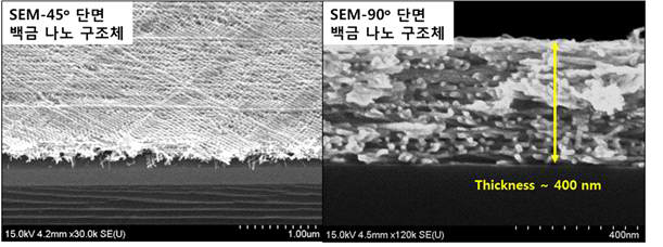 백금 나노 구조체의 미세구조