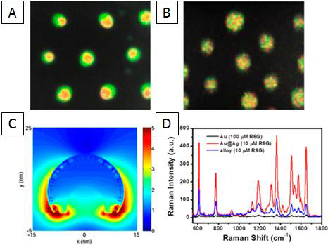 분자조립나노패터닝 기술을 이용한 Au-Ag 코어쉘 A), 과 합금 B). Au-Ag 코어쉘 구조의 플라즈모닉 특성의 시뮬레이션 결과 C). 코어쉘 구조의 우수한 SERS 성능 D).