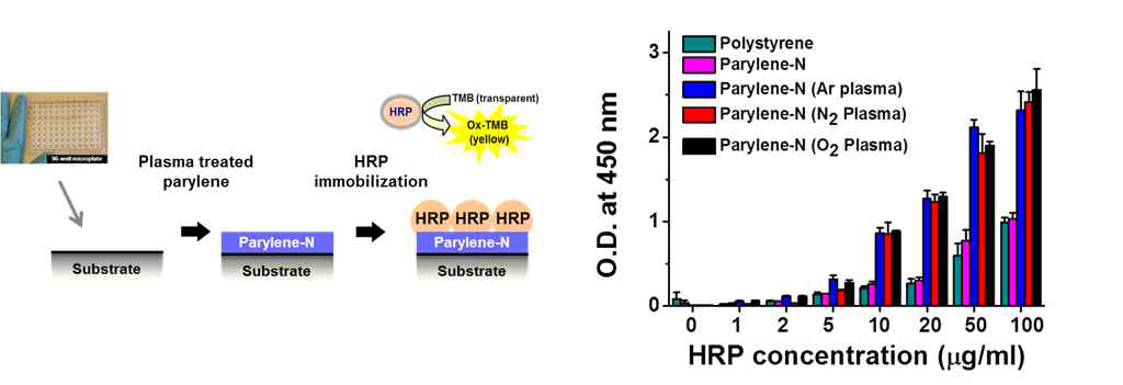 파릴렌 박막표면 기능기 조성변화에 따른 단백질 흡착능 분석